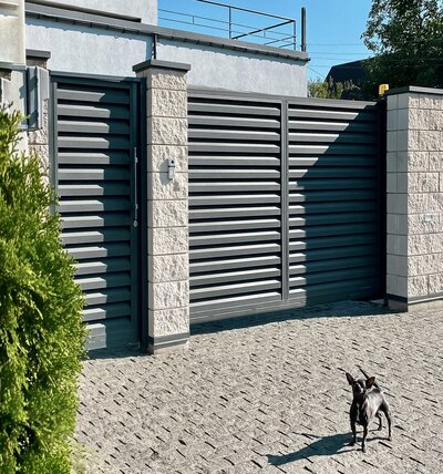 Backyard Gate