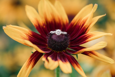 Jennifer B Photography-Sandhills Horticultural Gardens Engagement-Pinehurst NC-Cody and Kayla-2019-0232