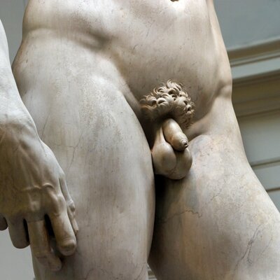Statue of David by Michelangelo (1501-1504)