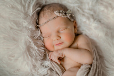petoskey newborn photographer