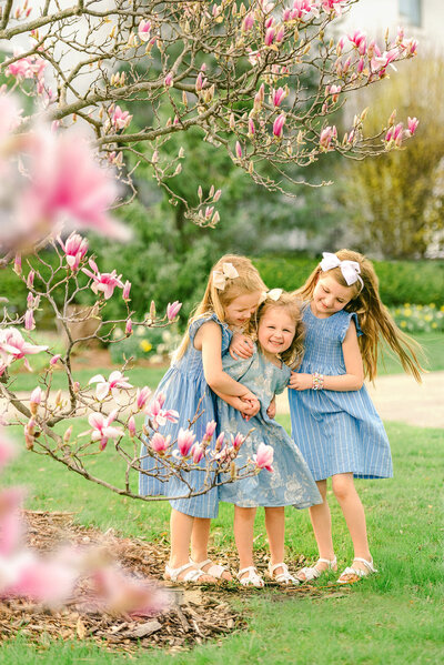 three young sisters tickling each other under a pink magnolia tree by Chicago family photographer Kristen Hazelton