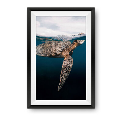 SEALIFE_04