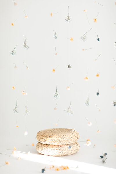 2025.03.17 Spring Install Jax Mini Sessions Studio-15627