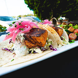 Fish Tacos Stanwood Grill Restaurant