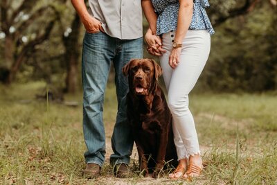 Lauren, her husband, and their dog Roux during an engagement photography session. Tailored Oasis Travel Co.