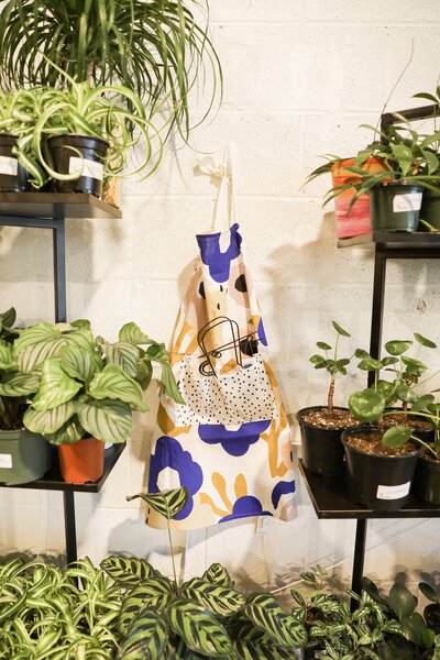 House Plant Collective plants and accessories