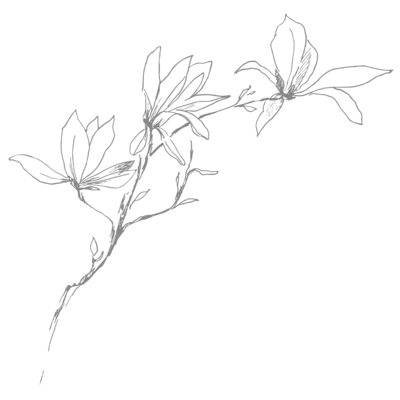 magnoliagray (2)