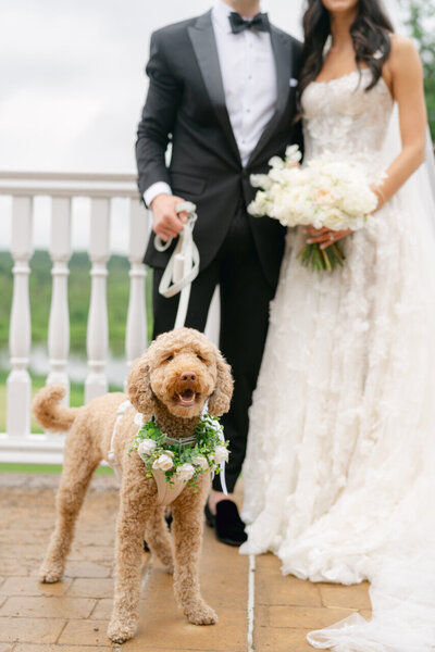 Saratoga National Golf Course Wedding- O'Malley Photographers-20