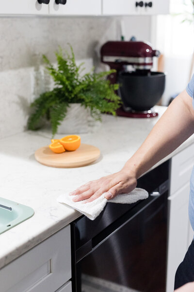 Professional cleaner wiping counter in kitchen