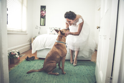 Bride with her dog on her wedding day at home, getting ready