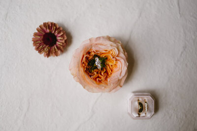 Welcome to Sol Luna Photography, your West Michigan Wedding Photographer. Discover our elegant wedding photography services, designed to capture timeless moments with elegance and artistry. Let us bring your vision to life.