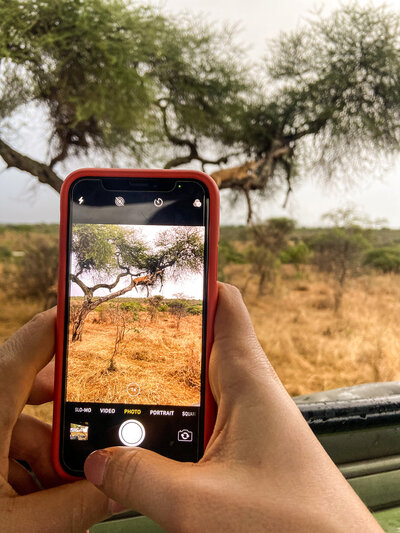 Cell phone taking picture of Serengeti