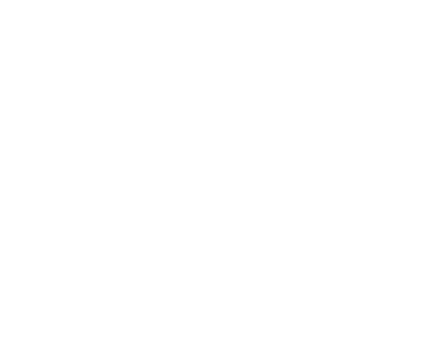 Harley Davidson Logo
