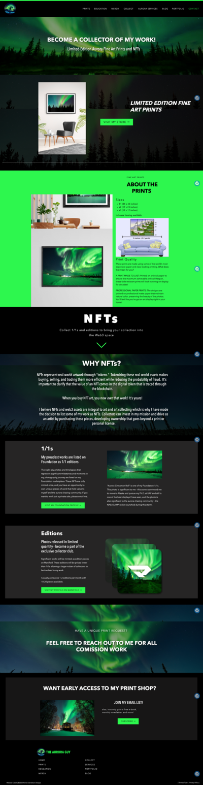 Aurora Guy  Showit website blog page