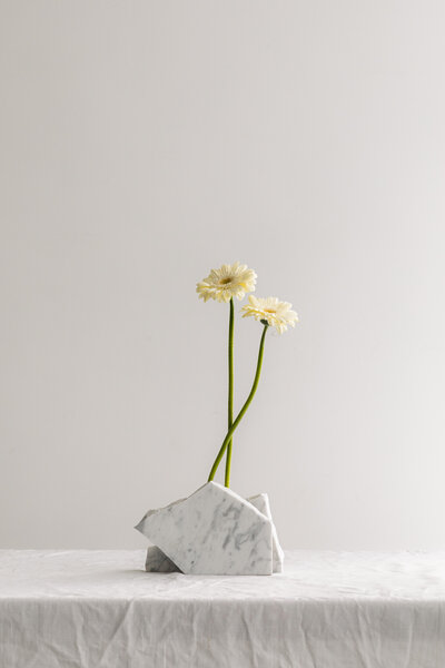 kaboompics_minimalist-floral-still-life-with-white-flowers-and-water-39150