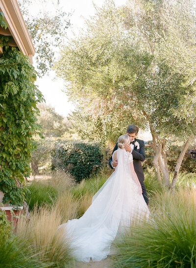 Danielle and Bobby kissing under an olive grove in southern California during their wedding.
