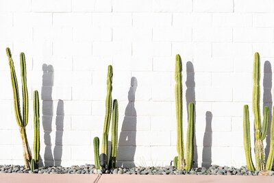 My mission as wellness coach for busy modern and creative women