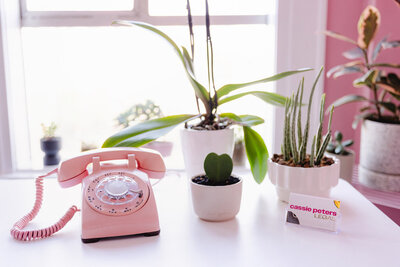 Plants and a phone on a desk in the office of Cassie Peters Legal. 