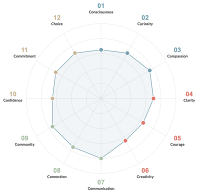 C12 Self-Leadership Assessment results chart showing 12 principles plotted on circular diagram with numbered points 01-12 representing Consciousness, Curiosity, Compassion, Clarity, Courage, Creativity, Communication, Connection, Community, Confidence, Commitment, and Choice.