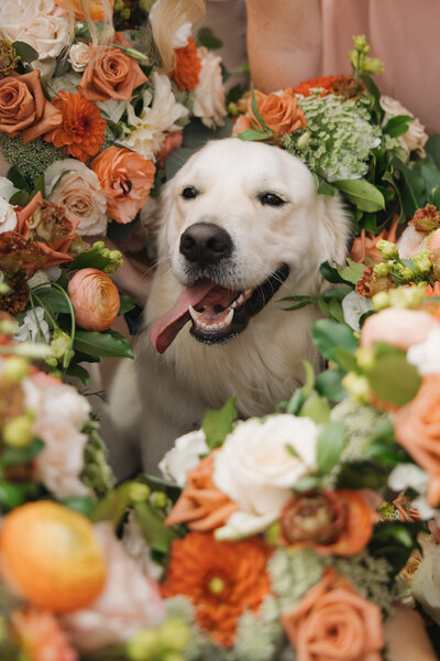 EmilyMcCaffertyPhotography_MulcahyWedding_SneakPeeks-30