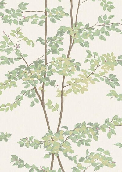 Lewis and Wood_BEECH_flat-shot_DOCUMENT-GREEN_med-res.5972152d.80424ba1