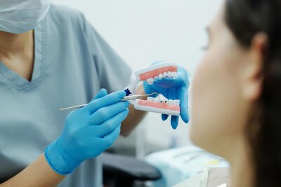 Prosthodontist explaining veneer options to a patient using a teeth model at Peak Prosthodontics. Serving Southern Alberta including Medicine Hat and Pincher Creek.