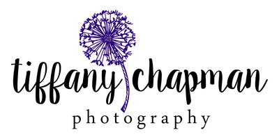 Austin Family Photographer, Tiffany Chapman Photography, dandelion logo
