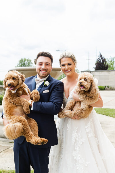 bride and groom holding dogs