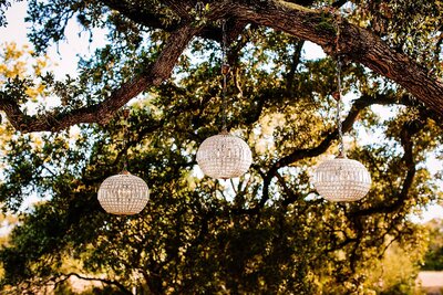 tree-decorations-outdoor-texas-venue