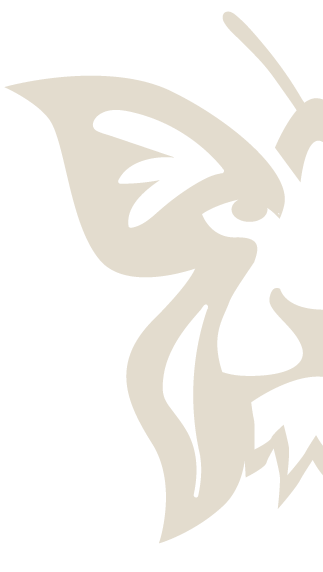 Sport & Performance Consulting Logo