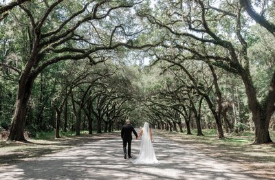 A exquisite portrait of K + R after their elopement at Wormsloe in Savannah, captured as part of our Savannah Elopement Package.