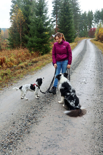 Ulrika Marwick and dogs Bruce and Jura on walk