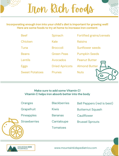 Picture of Printable iron rich foods Handout PDF