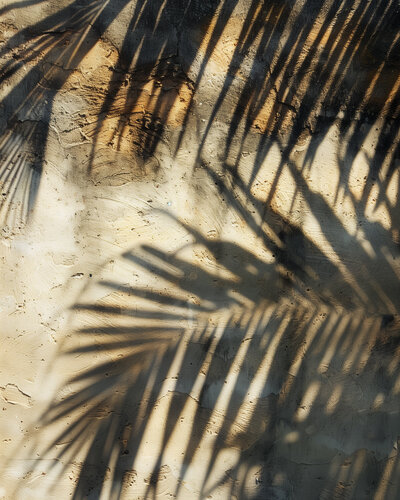 Soothing palm leaf silhouette – holistic coaching background for self-trust and healing