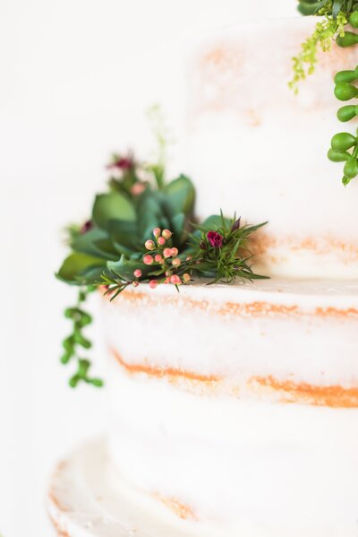 cactus-wedding-cake