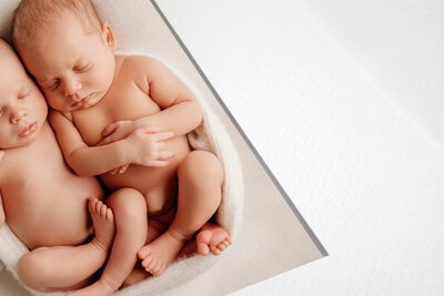 newborn matted print by queensberry in new zealand