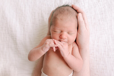 durham-newborn-photographer-(20)