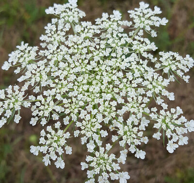 Jen Burghart Reiki 0060724_091656