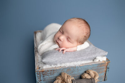 in-home newborn lifestyle photographer Frankfort KY