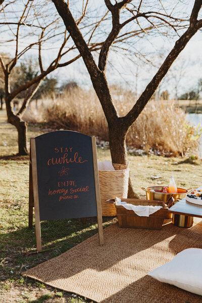 Picnic Party Sign - Mueller Lake Picnic - Honey Social Picnic Co.