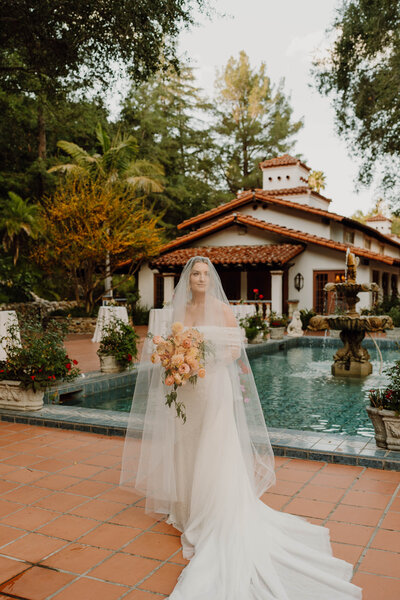 a bride standing with her veil over her body