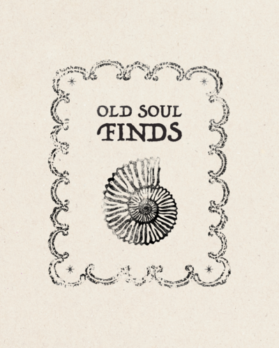 vintage logo for a thrift shop ammonite logo