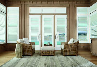 Living room shutters on doors