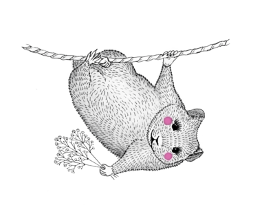 Hamster_PNG