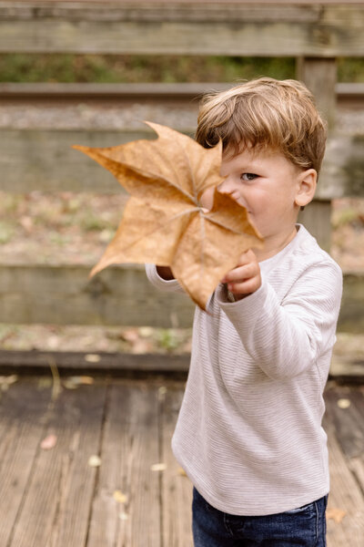 Child holding up a giant leaf in Akron, OH.