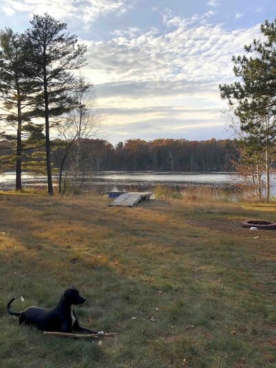 view of a small calm lake in the fall with a black dog lying in the grass