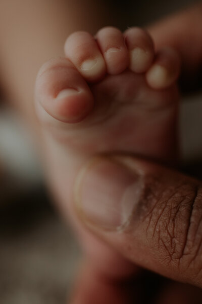 Soft newborn toes captured in an intimate indoor Perth session