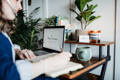 Online EMDR therapy setup with a laptop and plant