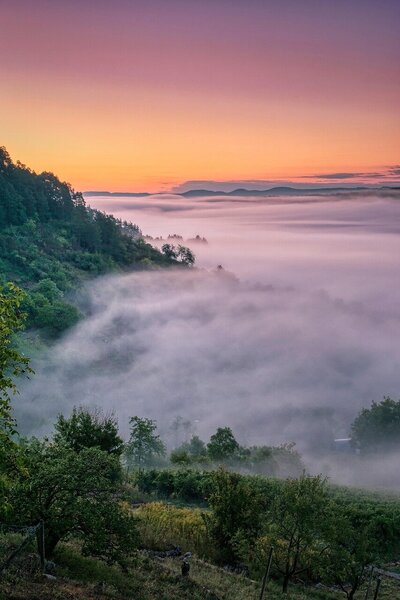 fog-7440132_1280