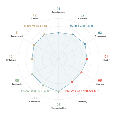 C12 Self-Leadership Assessment results chart showing 12 principles plotted on circular diagram with numbered points 01-12 representing Consciousness, Curiosity, Compassion, Clarity, Courage, Creativity, Communication, Connection, Community, Confidence, Commitment, and Choice.